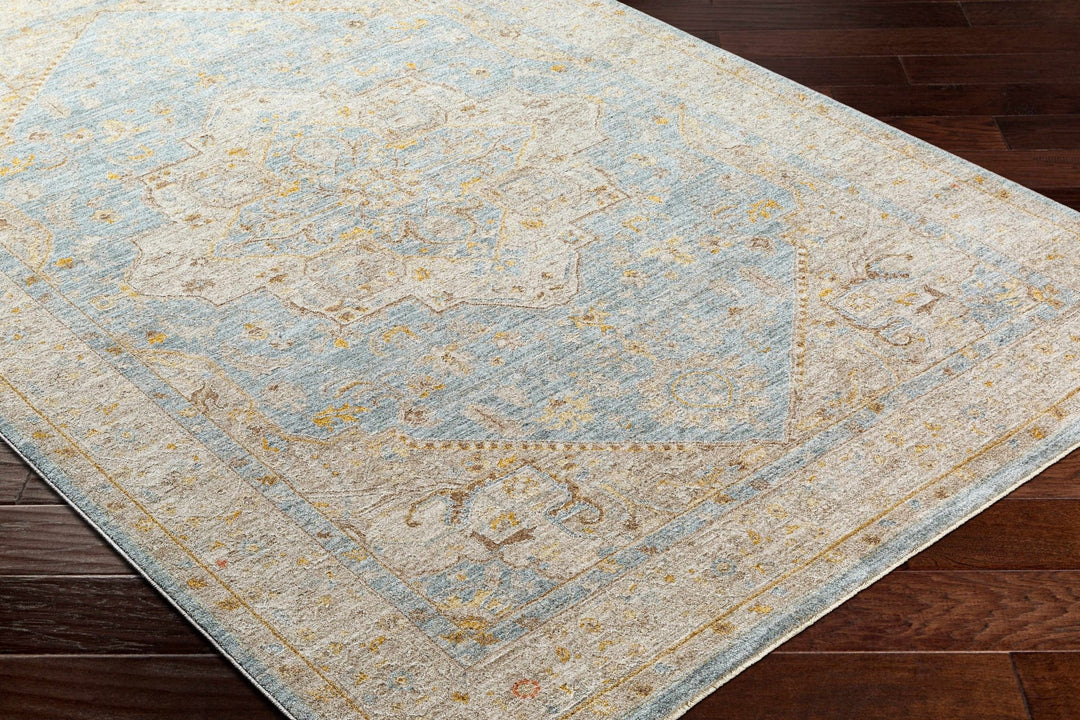Arjun Traditional Medallion Design Beige And Blue Area Rug - The Rug Decor