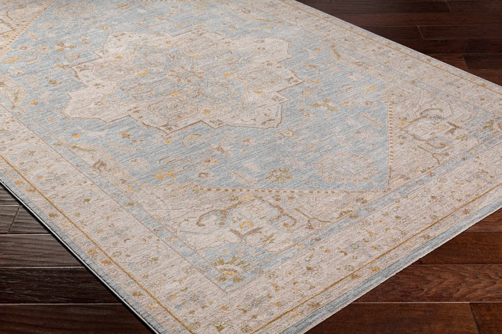 Arjun Traditional Medallion Design Beige And Blue Area Rug - The Rug Decor