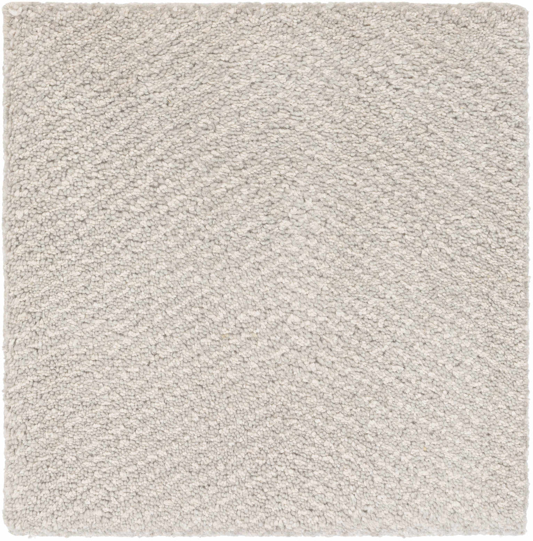 Arkadelphia Modern Style Beige Hand Knotted Area Rug