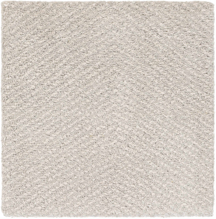 Arkadelphia Modern Style Beige Hand Knotted Area Rug