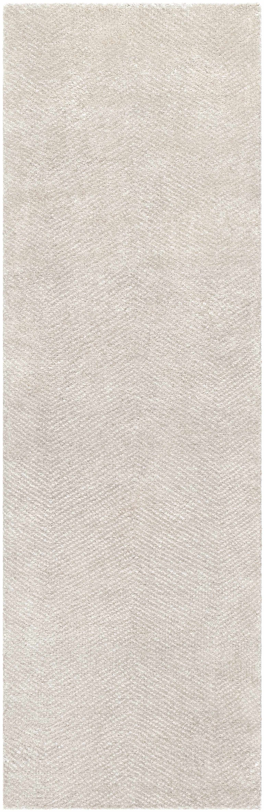Arkadelphia Modern Style Beige Hand Knotted Area Rug
