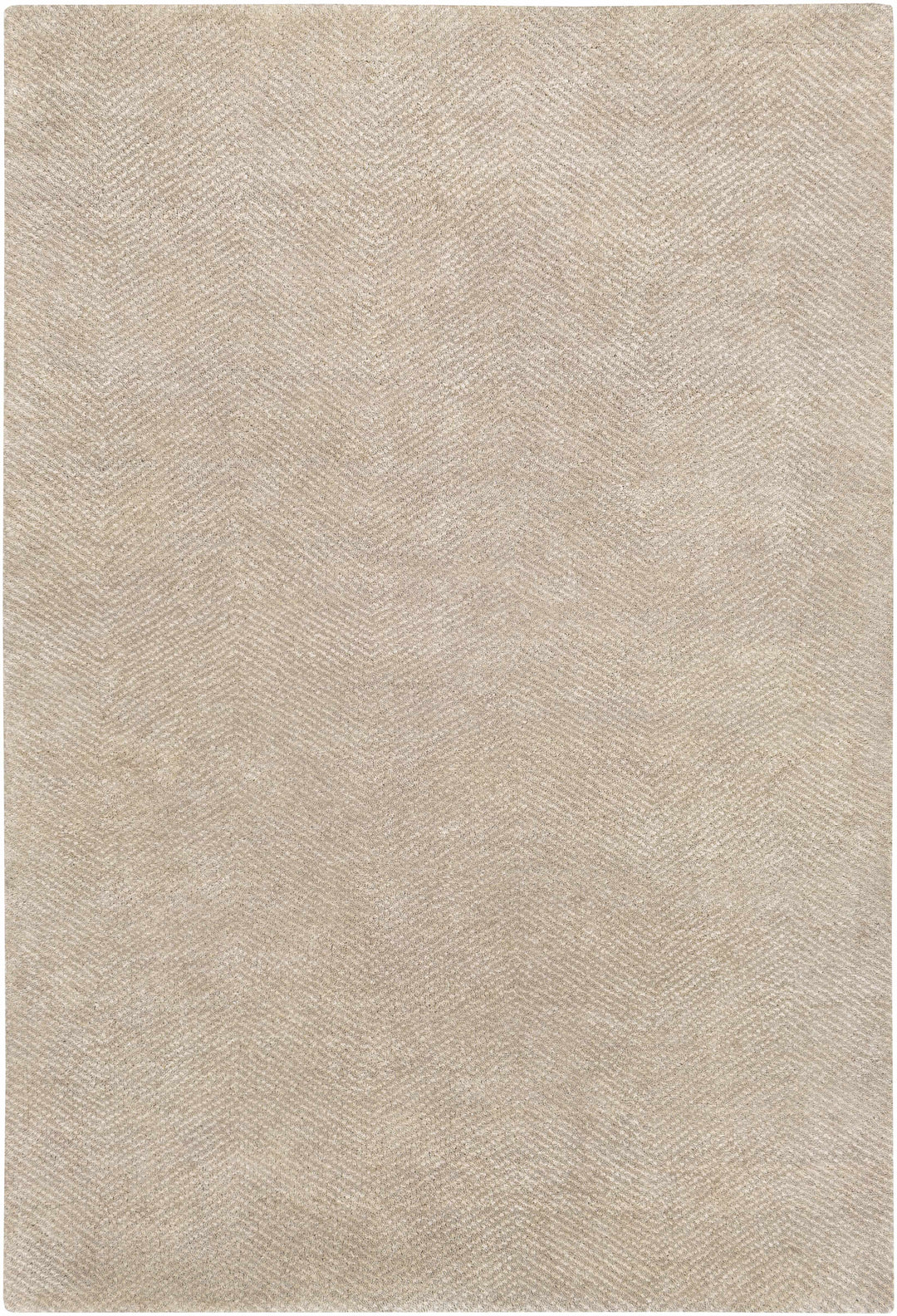 Arkadelphia Modern Style Beige Hand Knotted Area Rug