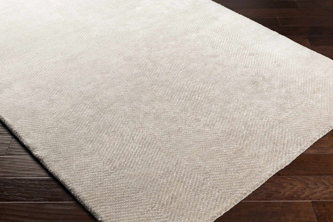 Arkadelphia Modern Style Beige Hand Knotted Area Rug