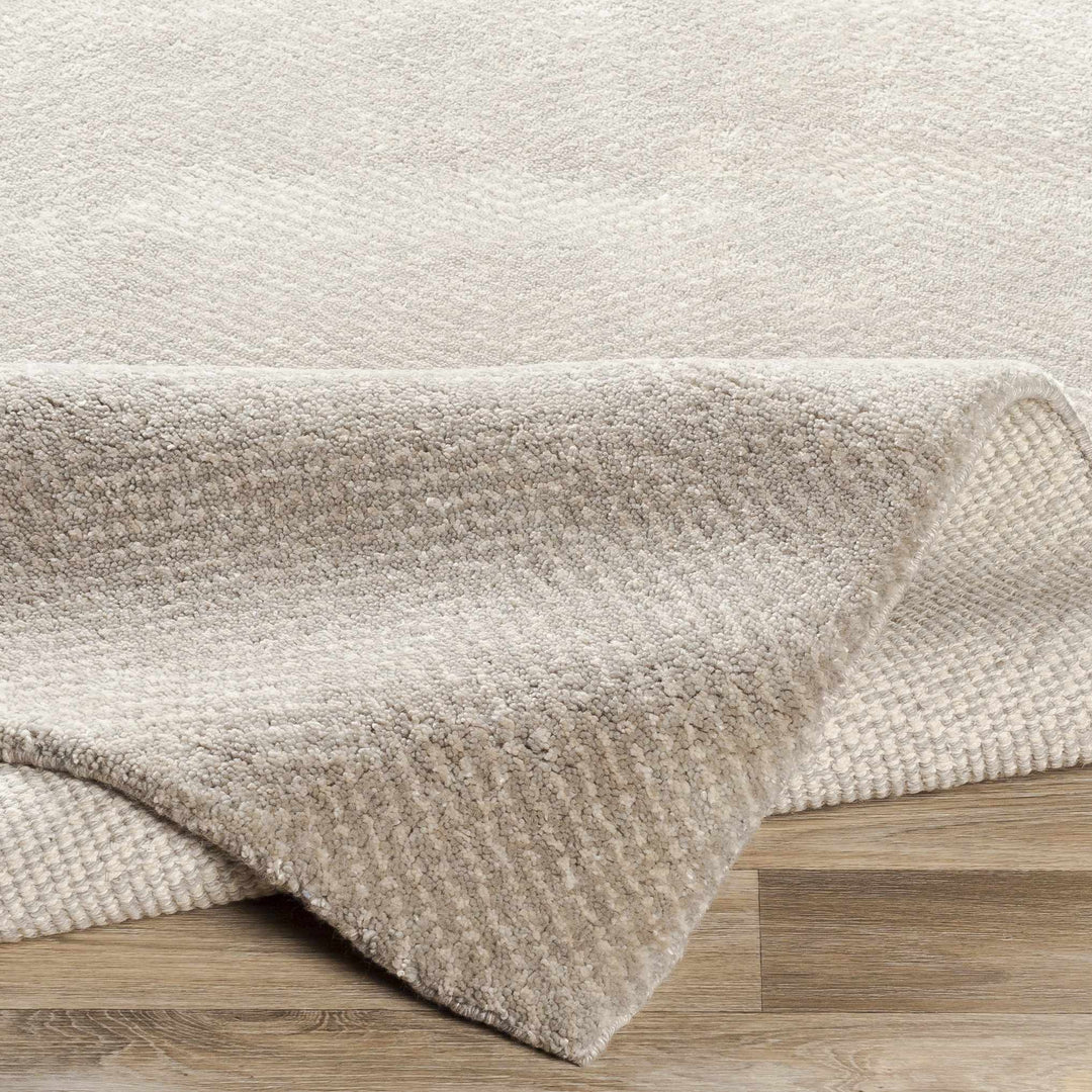Arkadelphia Modern Style Beige Hand Knotted Area Rug