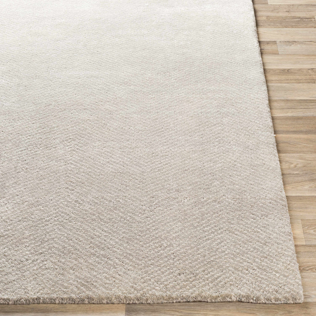Arkadelphia Modern Style Beige Hand Knotted Area Rug