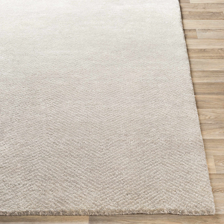 Arkadelphia Modern Style Beige Hand Knotted Area Rug