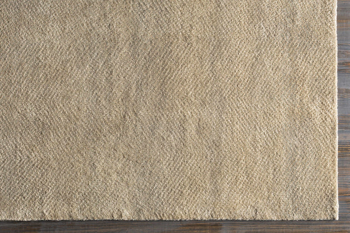 Arkadelphia Modern Style Beige Hand Knotted Area Rug