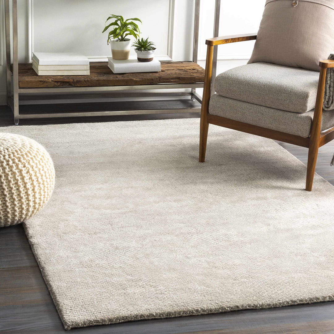 Arkadelphia Modern Style Beige Hand Knotted Area Rug