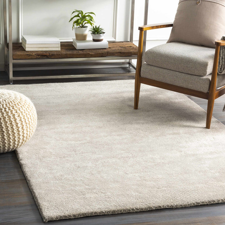 Arkadelphia Modern Style Beige Hand Knotted Area Rug