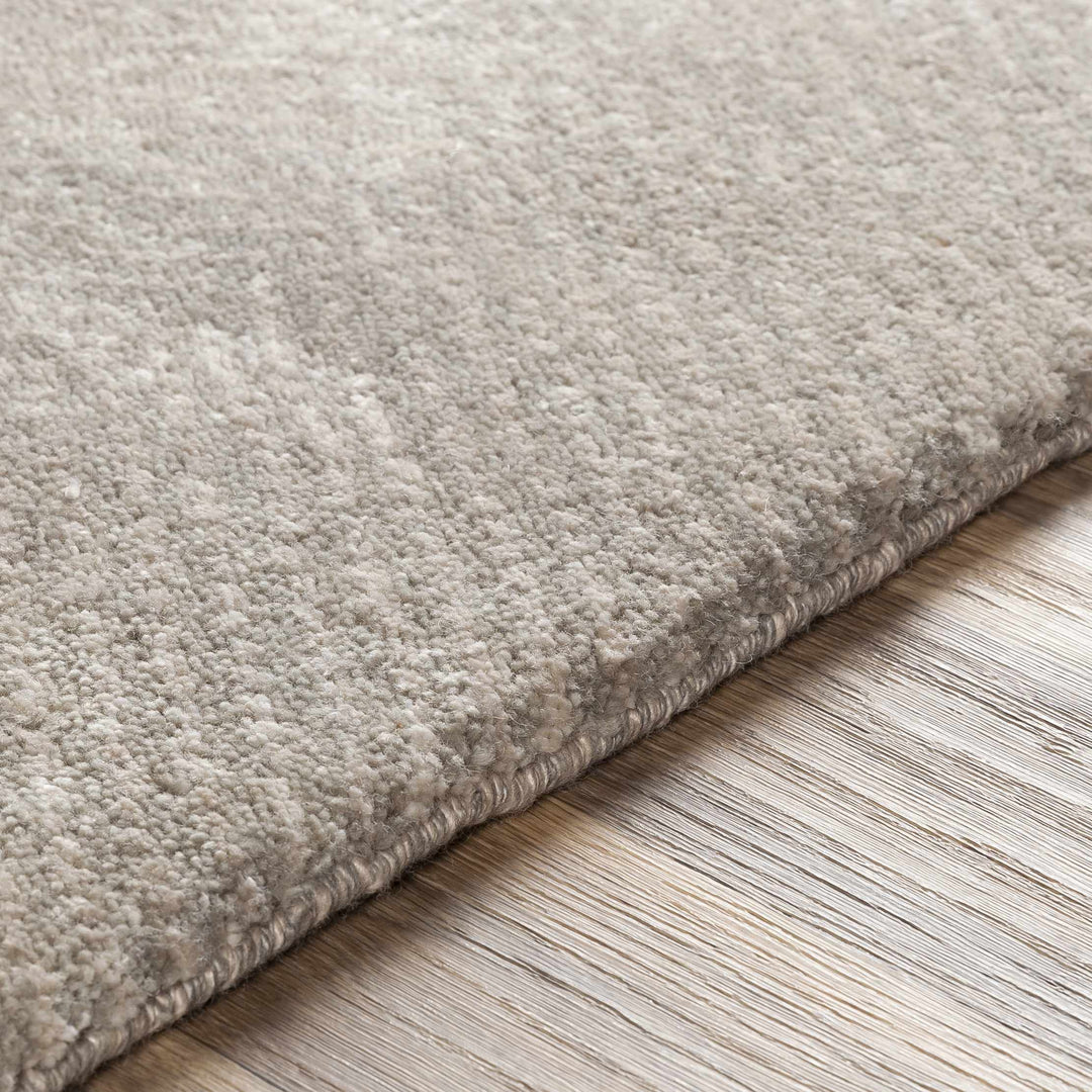 Arkadelphia Modern Style Beige Hand Knotted Area Rug