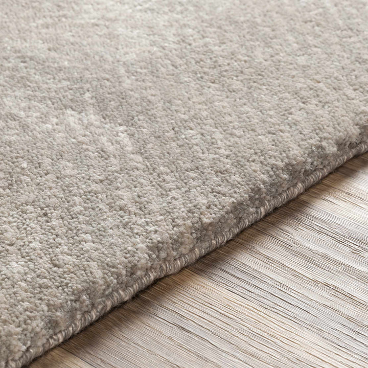 Arkadelphia Modern Style Beige Hand Knotted Area Rug