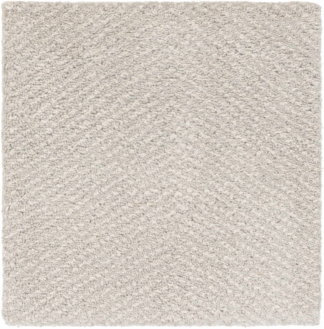 Arkadelphia Modern Style Beige Hand Knotted Area Rug - The Rug Decor