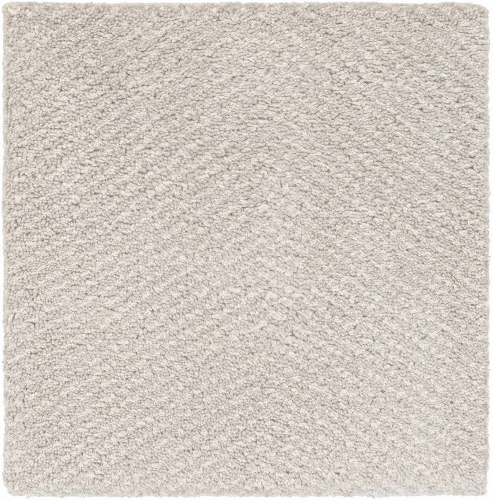 Arkadelphia Modern Style Beige Hand Knotted Area Rug - The Rug Decor