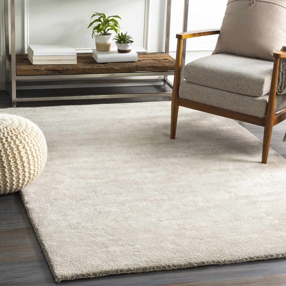 Arkadelphia Modern Style Beige Hand Knotted Area Rug - The Rug Decor