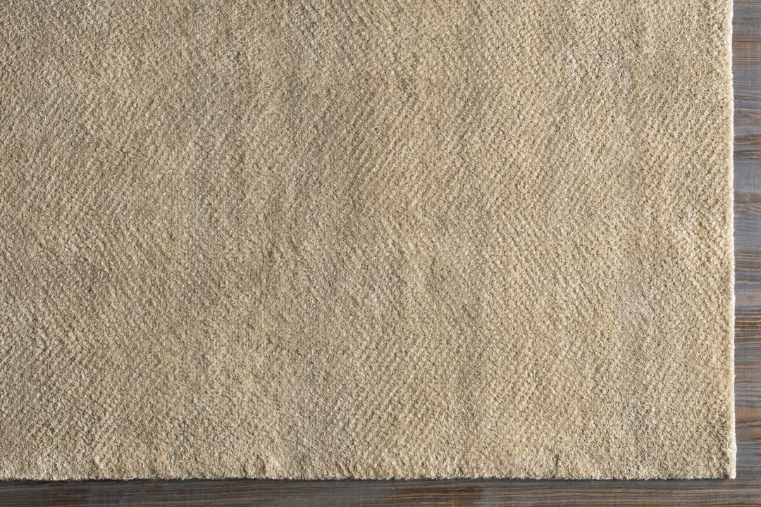 Arkadelphia Modern Style Beige Hand Knotted Area Rug - The Rug Decor