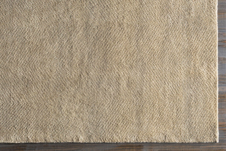 Arkadelphia Modern Style Beige Hand Knotted Area Rug - The Rug Decor