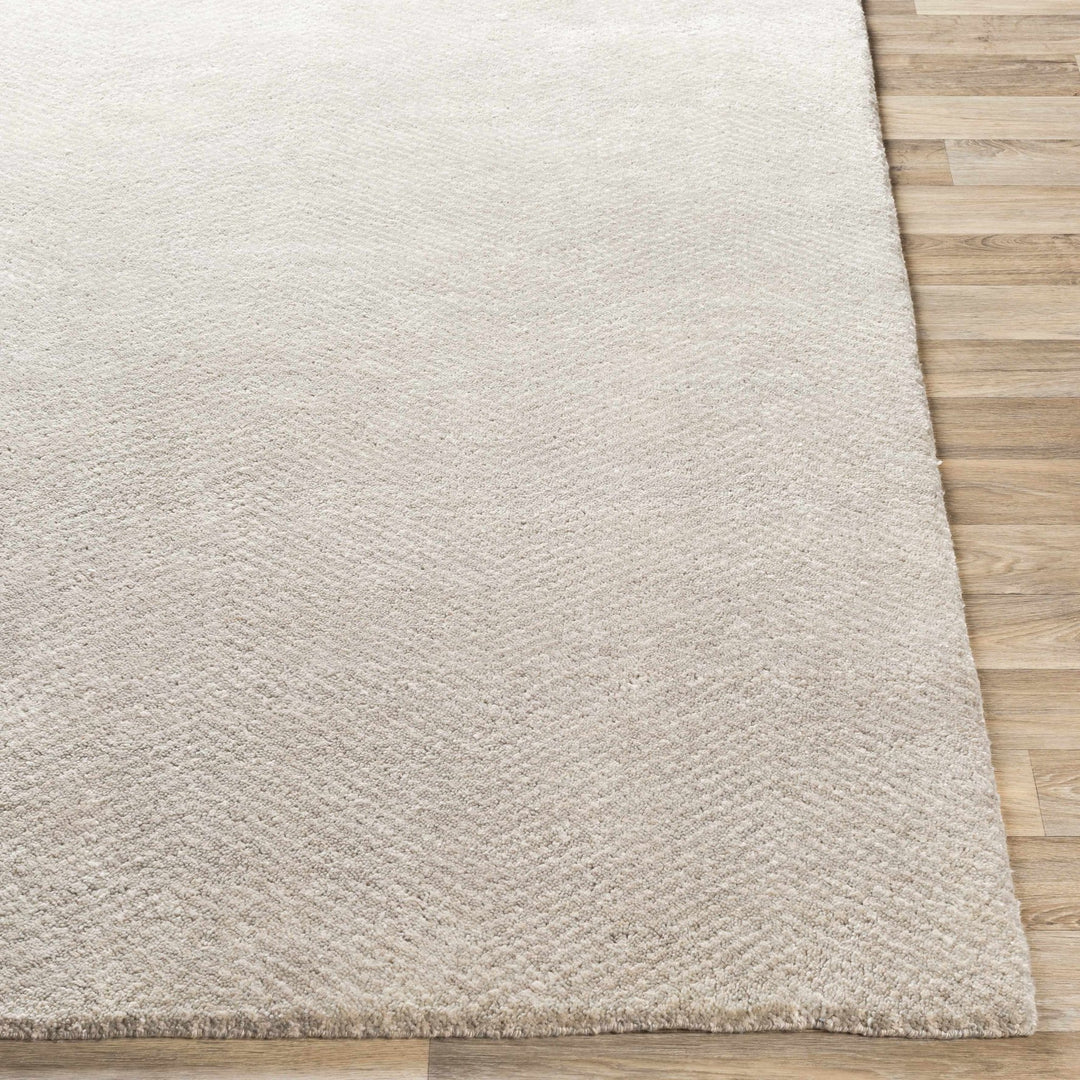 Arkadelphia Modern Style Beige Hand Knotted Area Rug - The Rug Decor