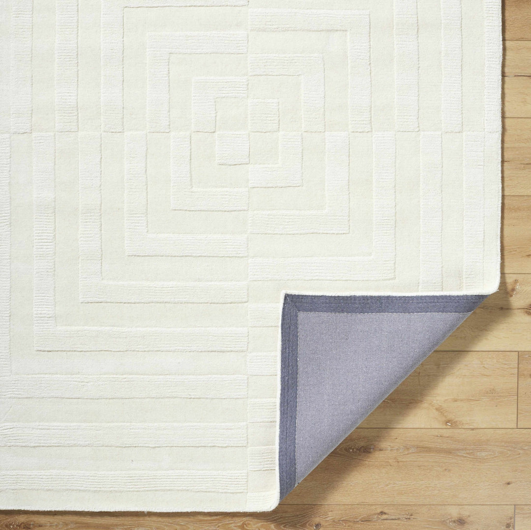 Armina Contemporary Style Ivory Hand Loom Wool Rug - The Rug Decor