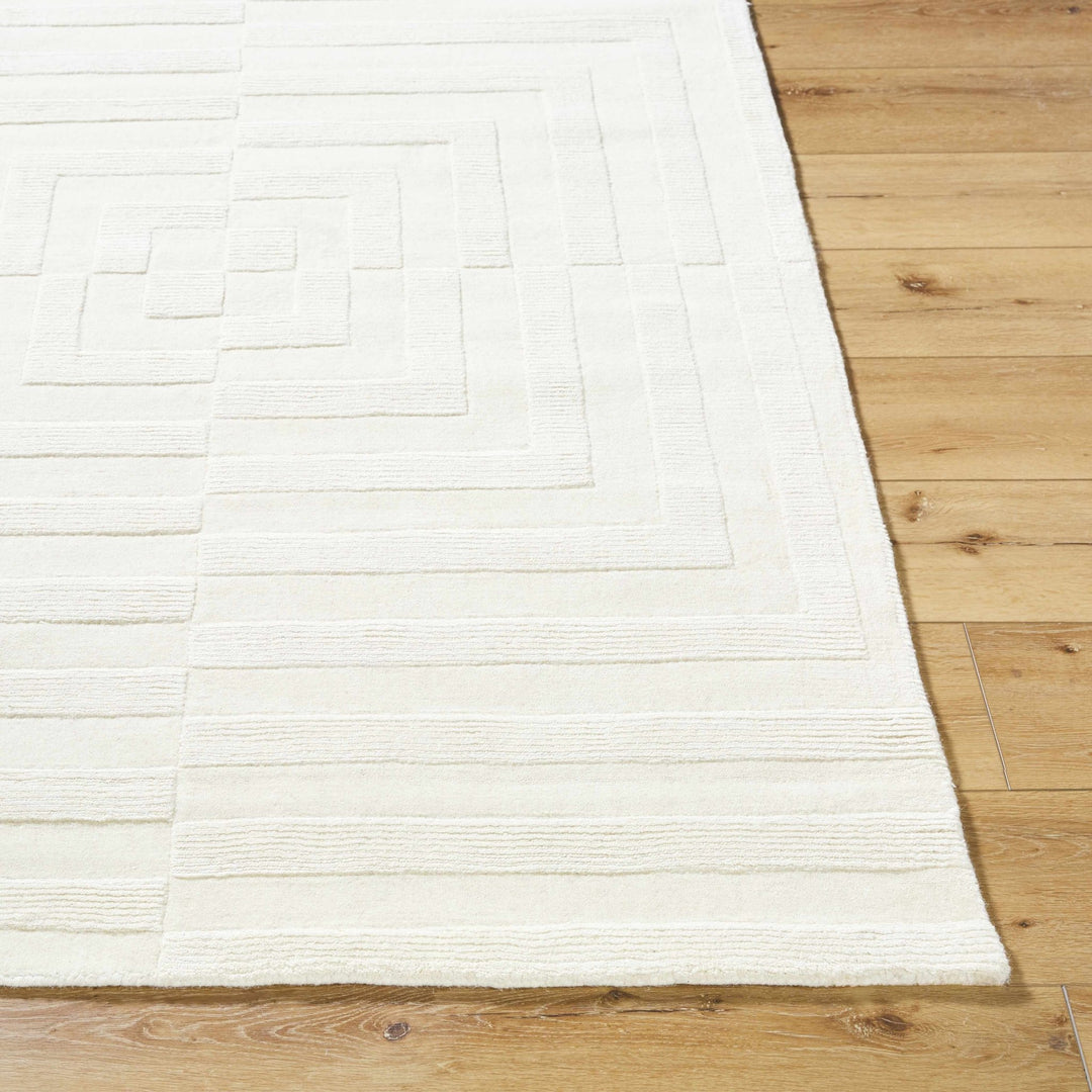 Armina Contemporary Style Ivory Hand Loom Wool Rug - The Rug Decor