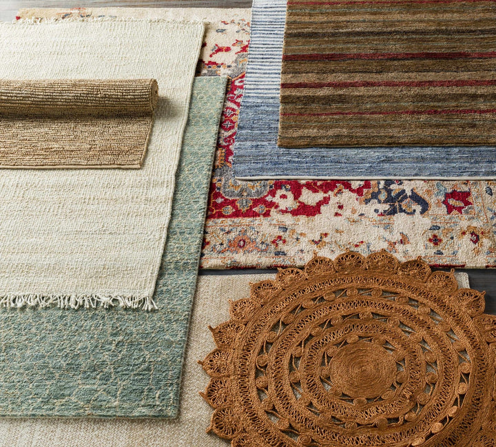 Armona Traditional Transitional Design Blue Hand Woven Cotton Rug - The Rug Decor