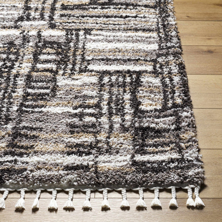 Arne Modern Abstract Design Gray And Charcoal Rug - The Rug Decor
