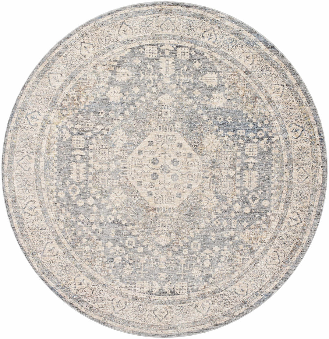 Artan Gray And Brown Traditional Style Rug - The Rug Decor