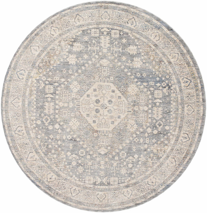Artan Gray And Brown Traditional Style Rug - The Rug Decor