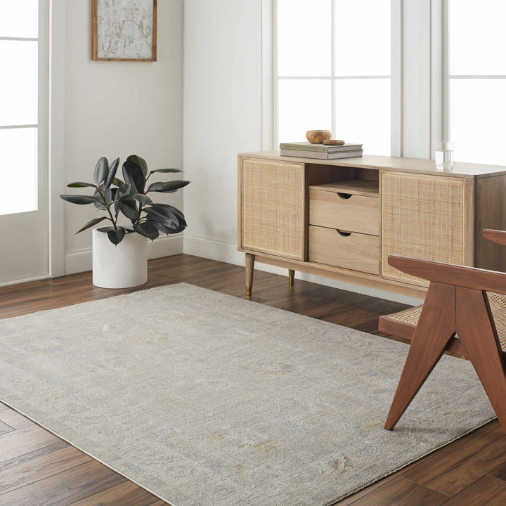 Ashra Traditional Style Beige And Brown Thick Luxe Area Rug - The Rug Decor