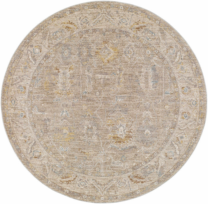 Ashra Traditional Style Beige And Brown Thick Luxe Area Rug - The Rug Decor