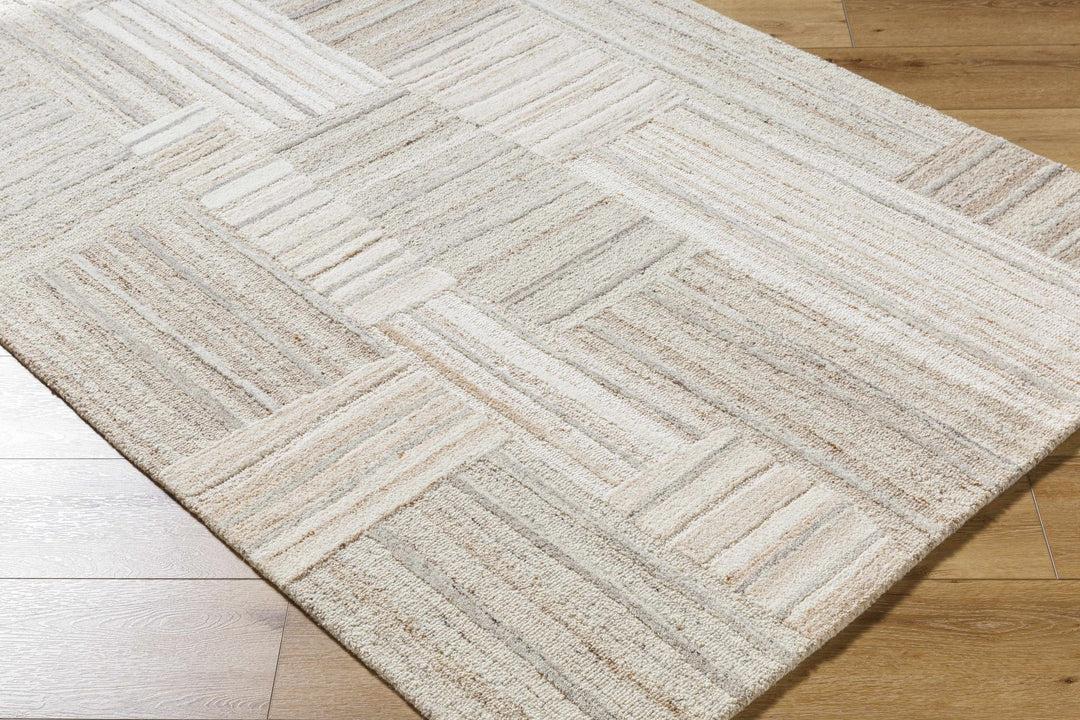 Ashtyn Beige Contemporary Style Hand Tufted Area Rug - The Rug Decor
