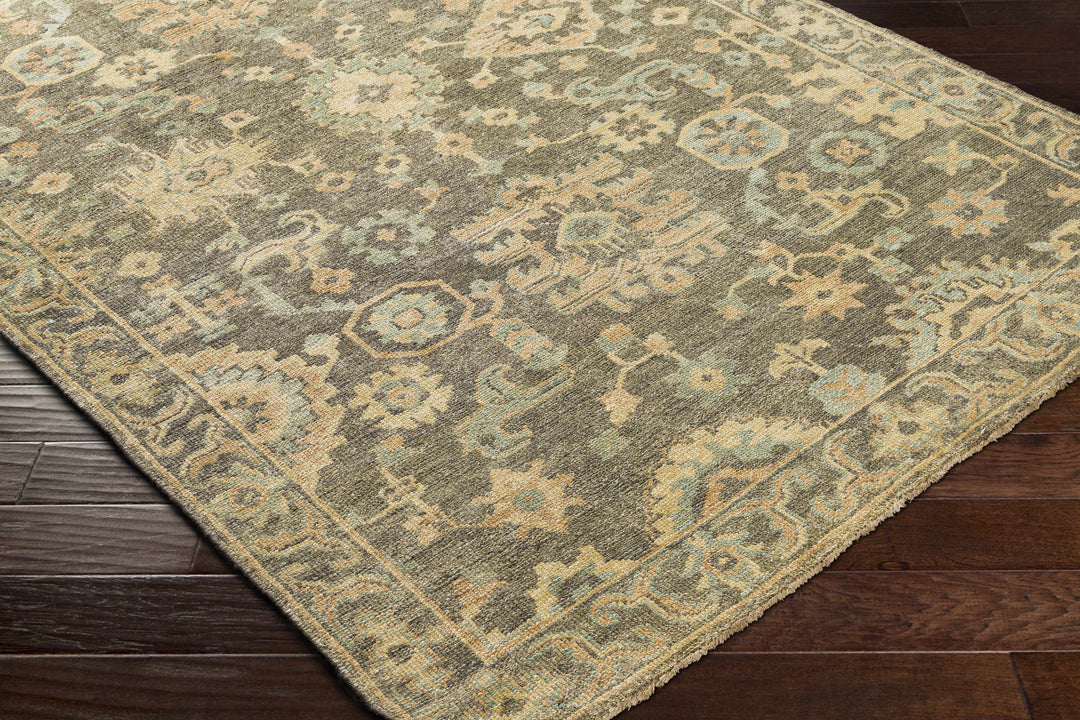 Asotin Traditional Oushak Design Olive Hand Knotted Area Rug