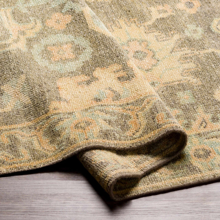 Asotin Traditional Oushak Design Olive Hand Knotted Area Rug