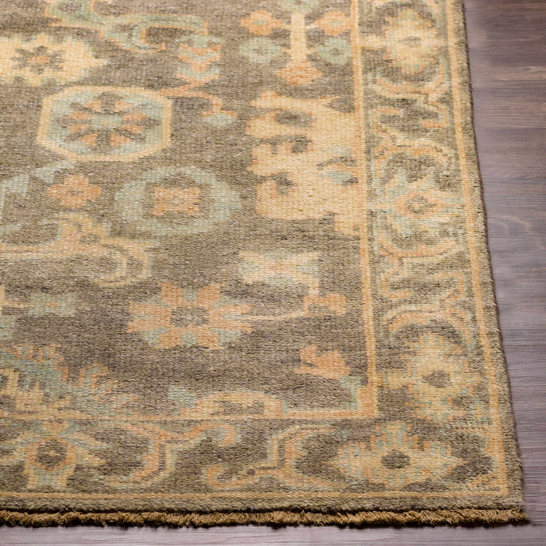 Asotin Traditional Oushak Design Olive Hand Knotted Area Rug