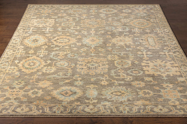 Asotin Traditional Oushak Design Olive Hand Knotted Area Rug