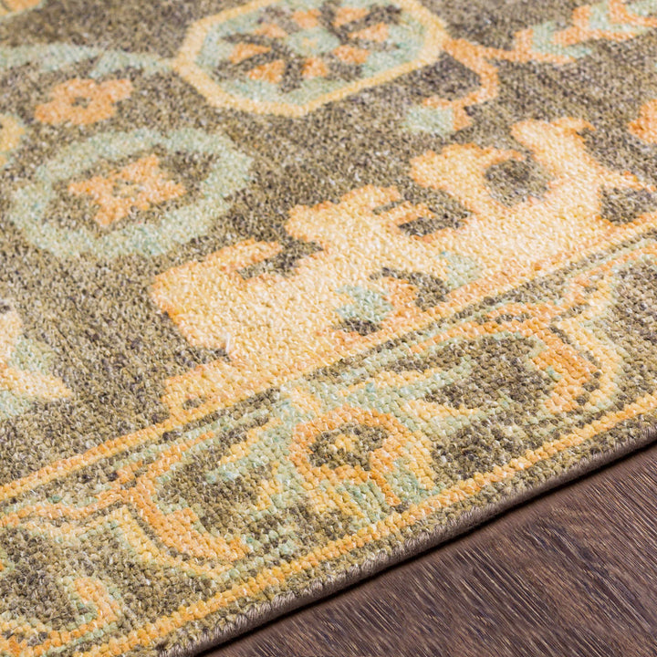 Asotin Traditional Oushak Design Olive Hand Knotted Area Rug
