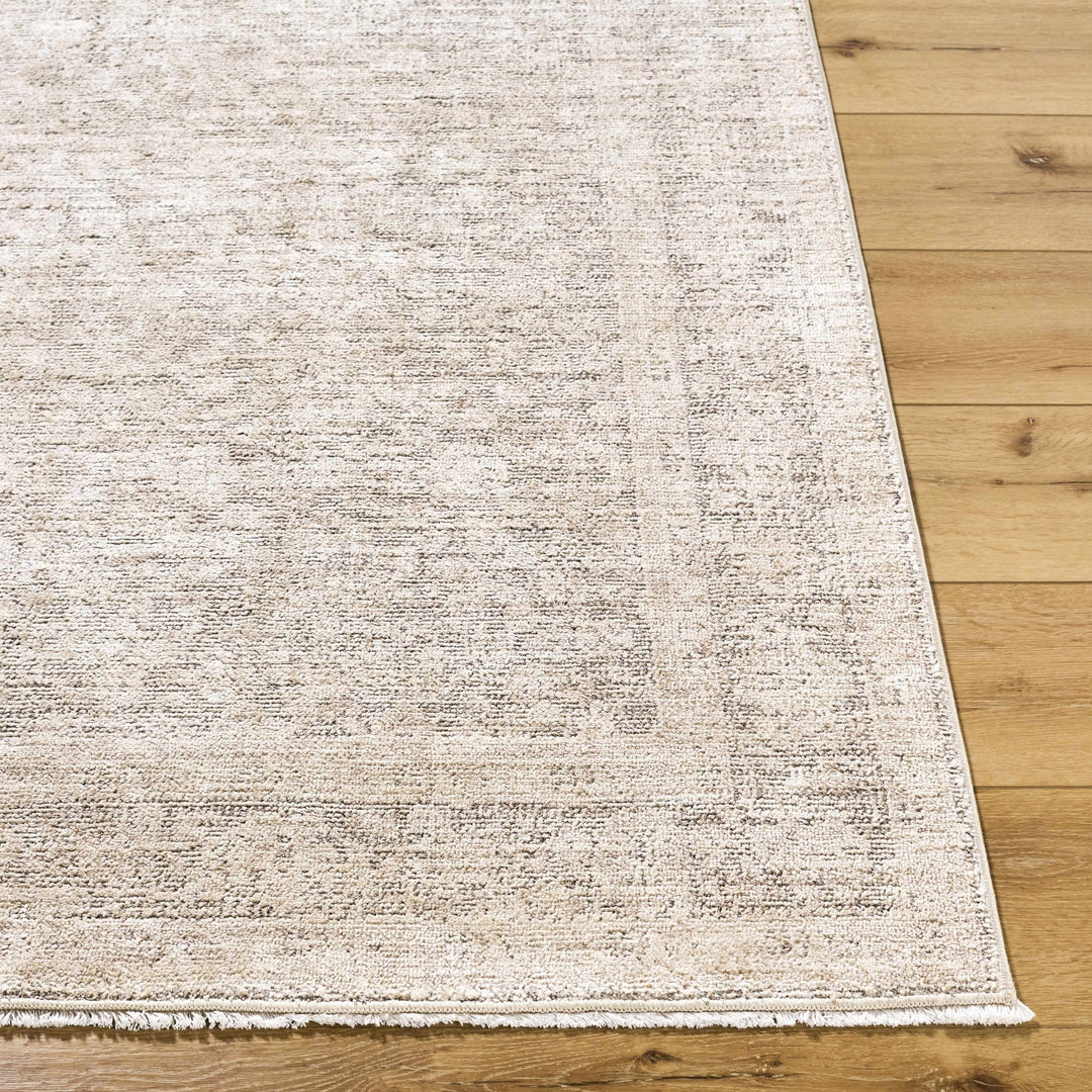 Astrea Gray And Beige Traditional Style Area Rug - The Rug Decor