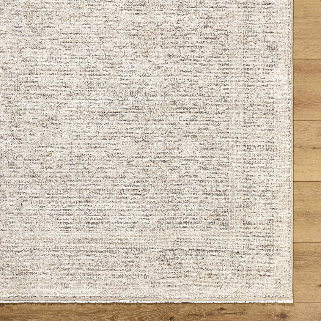 Astrea Gray And Beige Traditional Style Area Rug - The Rug Decor