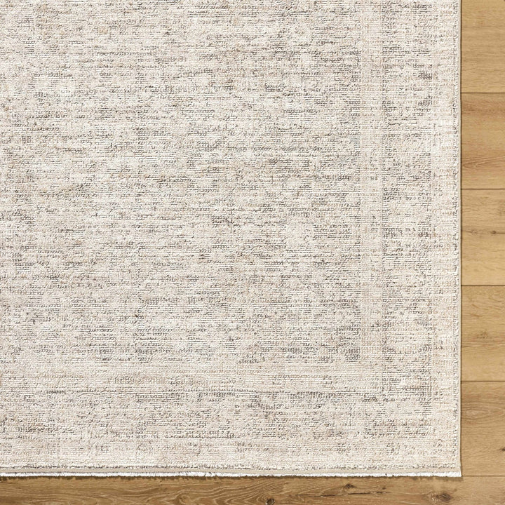 Astrea Gray And Beige Traditional Style Area Rug - The Rug Decor