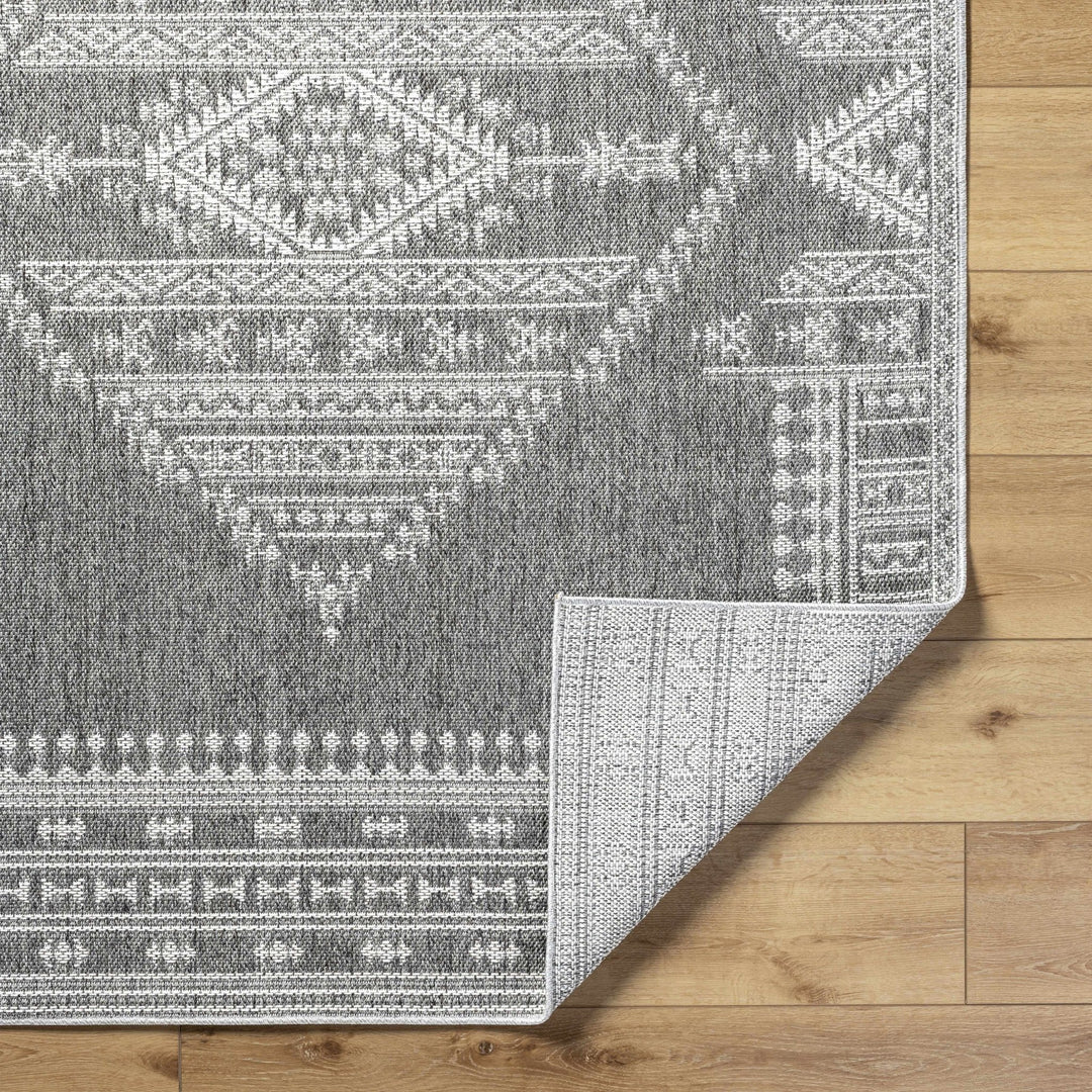 Asuman Traditional Transitional Design Gray Area Rug - The Rug Decor