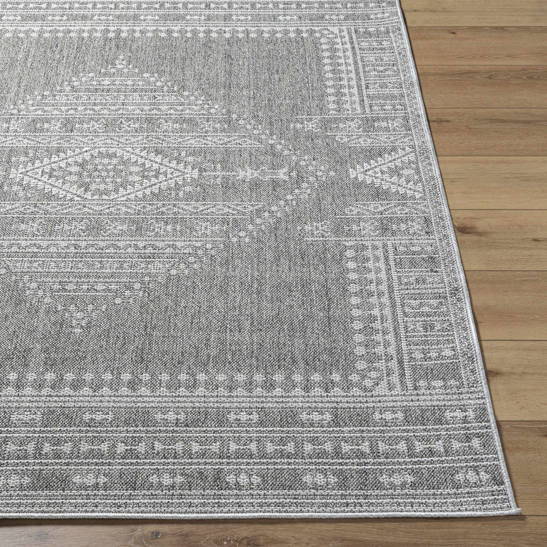 Asuman Traditional Transitional Design Gray Area Rug - The Rug Decor