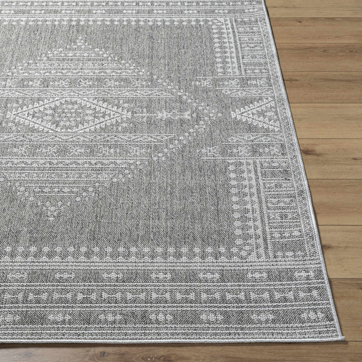 Asuman Traditional Transitional Design Gray Area Rug - The Rug Decor