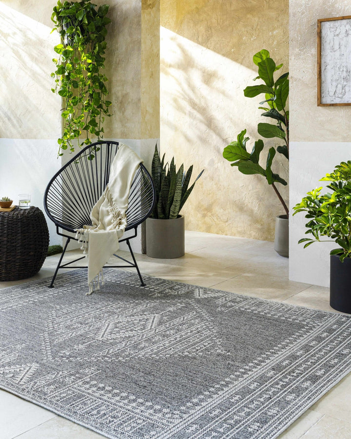 Asuman Traditional Transitional Design Gray Area Rug - The Rug Decor