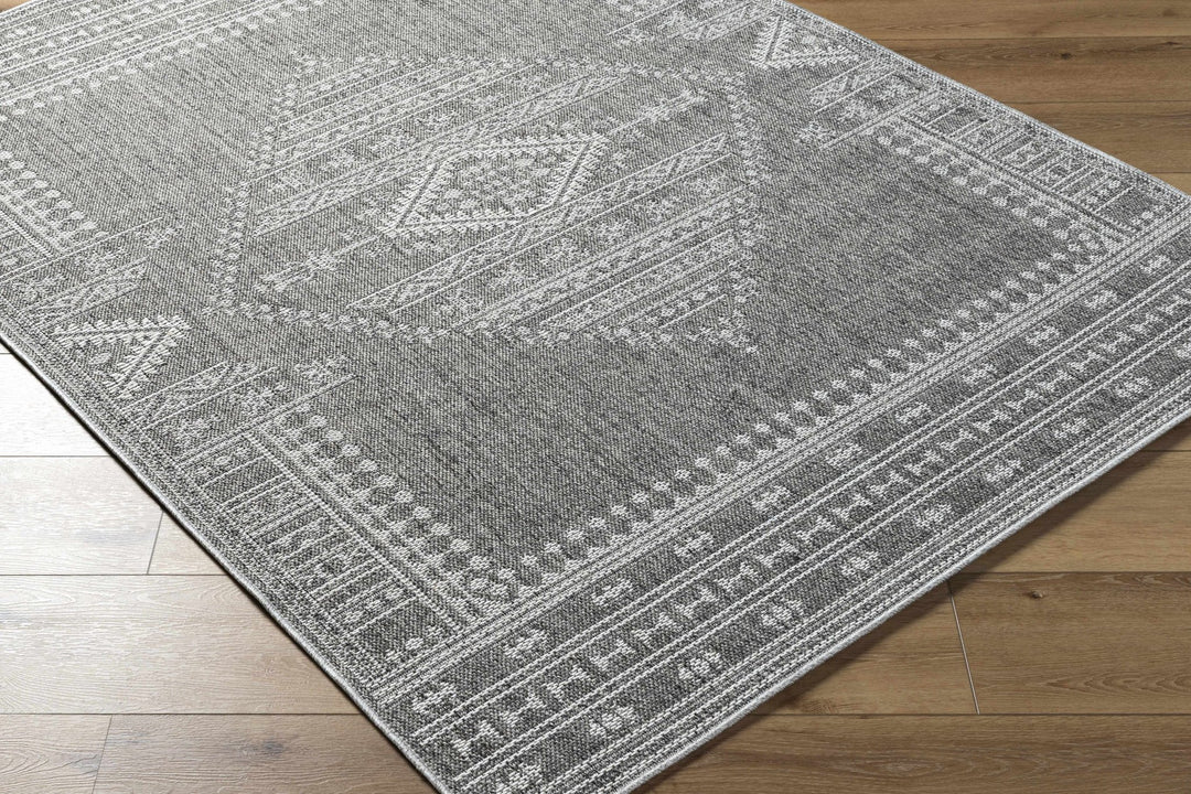 Asuman Traditional Transitional Design Gray Area Rug - The Rug Decor