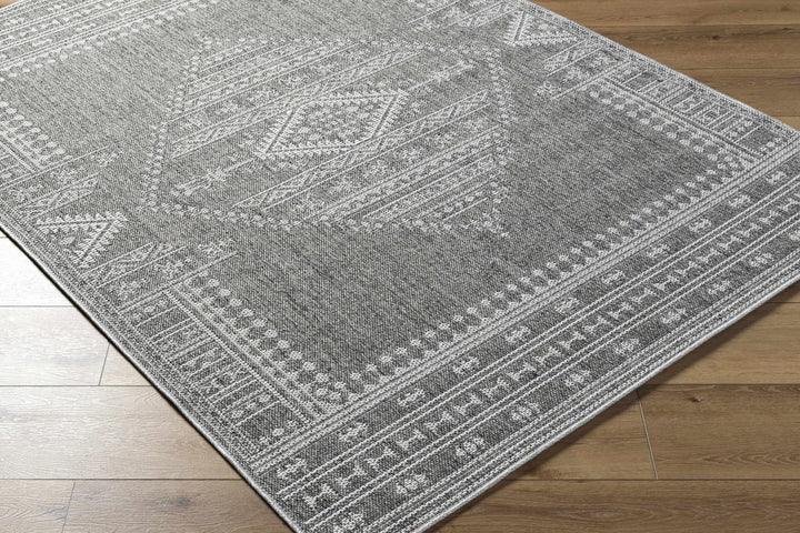 Asuman Traditional Transitional Design Gray Area Rug - The Rug Decor