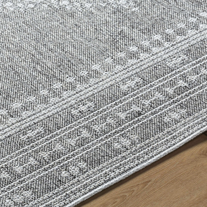 Asuman Traditional Transitional Design Gray Area Rug - The Rug Decor