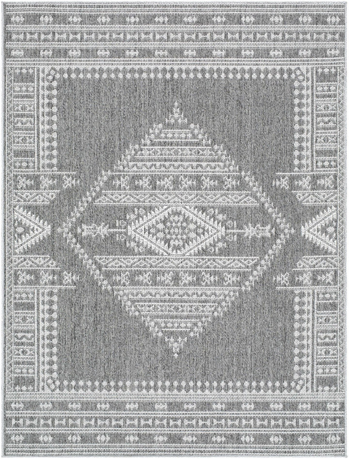 Asuman Traditional Transitional Design Gray Area Rug - The Rug Decor