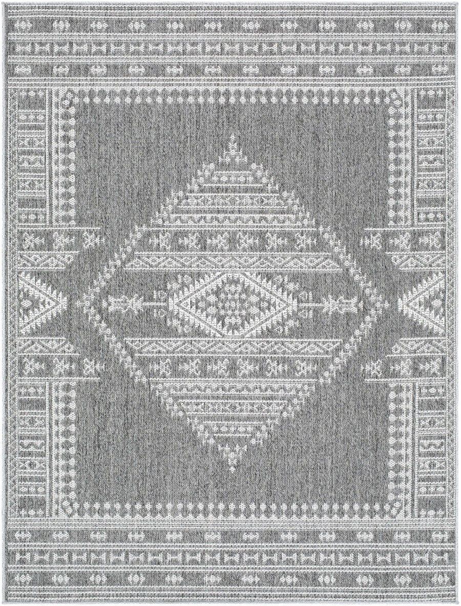 Asuman Traditional Transitional Design Gray Area Rug - The Rug Decor