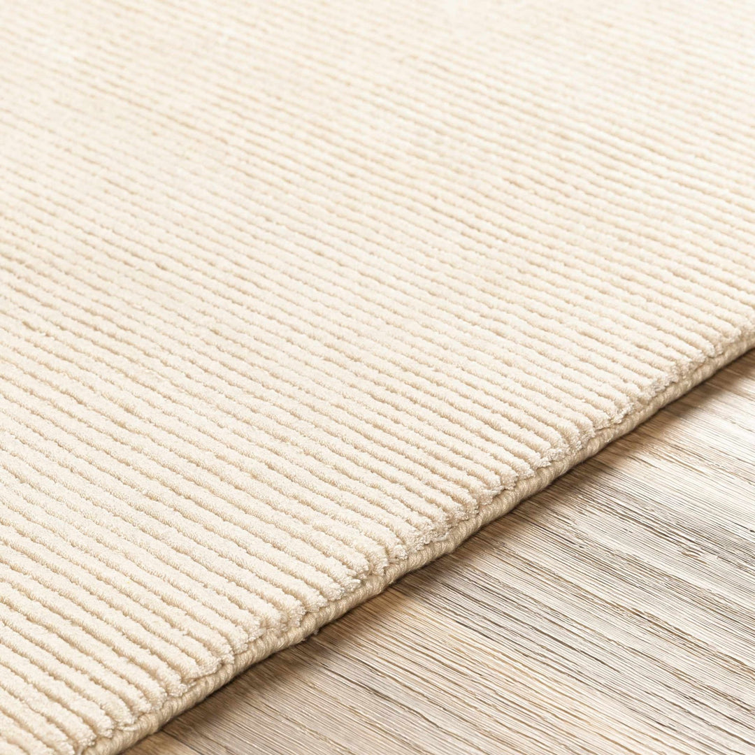 Atlas Beige Modern Style Hand Knotted Area Rug - The Rug Decor