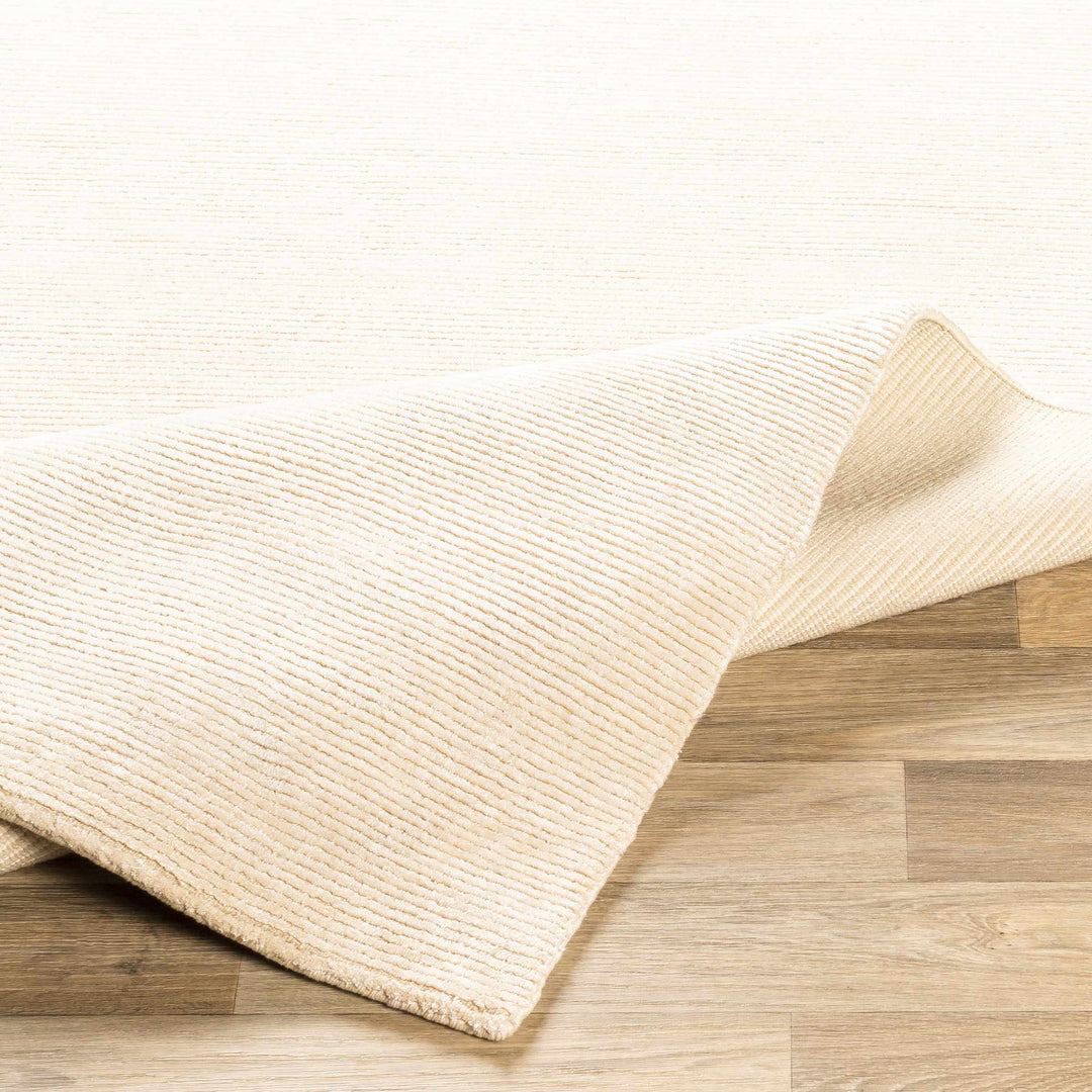 Atlas Beige Modern Style Hand Knotted Area Rug