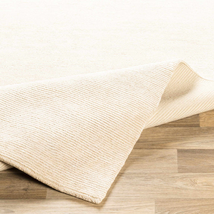 Atlas Beige Modern Style Hand Knotted Area Rug